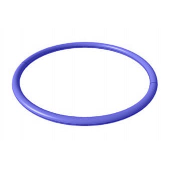 O-Ring